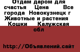 Отдам даром для счастья. › Цена ­ 1 - Все города, Новокузнецк г. Животные и растения » Кошки   . Калужская обл.